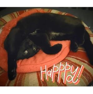 Meet your Posher, Gina